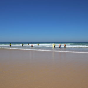 Alternative view of Surfcamp I + II Frankreich 2026 - drei Wochen