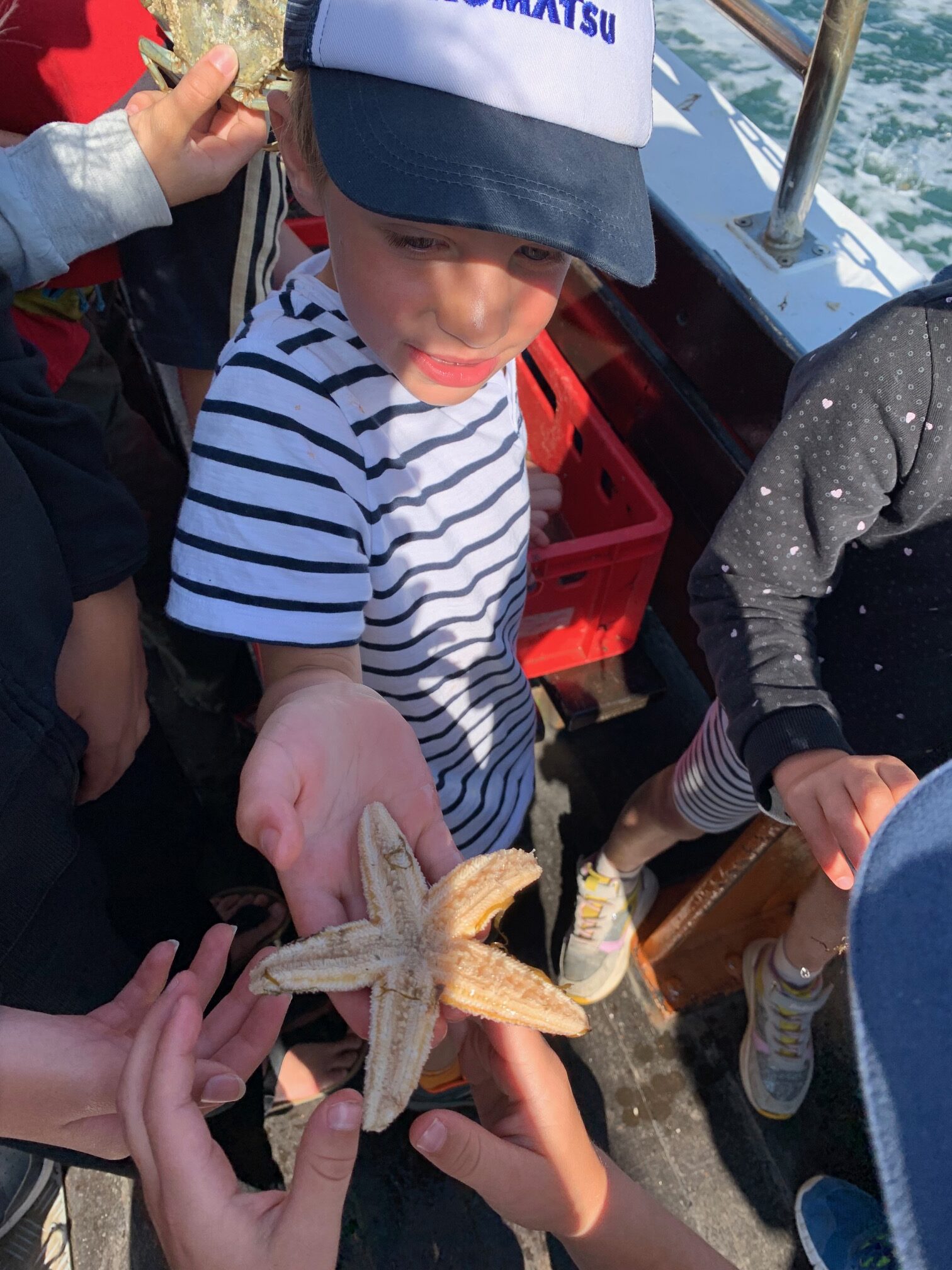 Sylt I in den Sommerferien 2026 – Bild 3